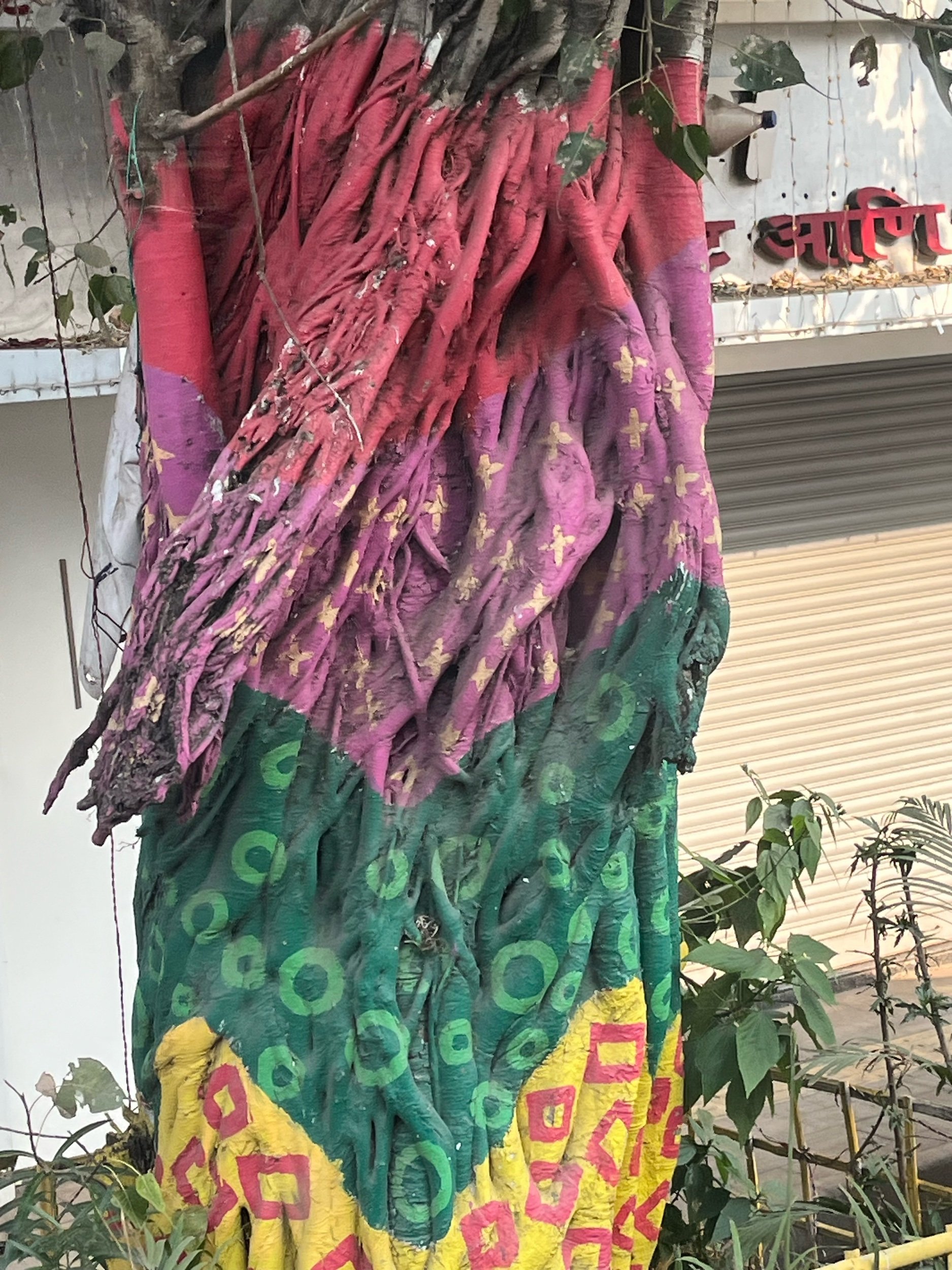 IMG_9662.jpeg