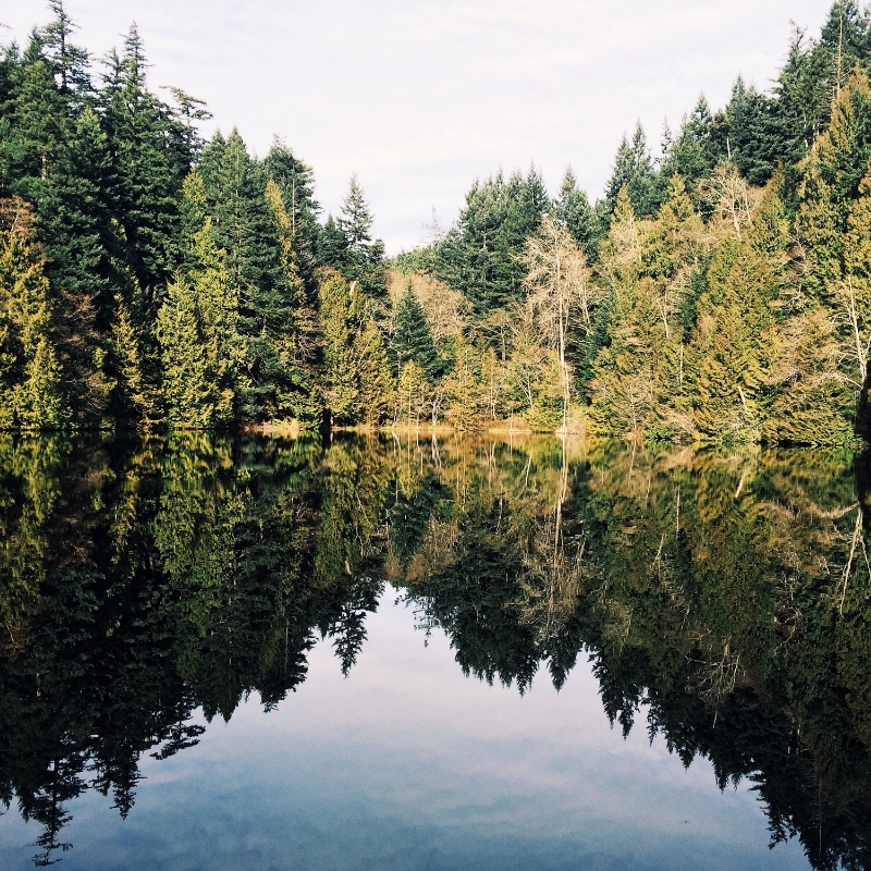  Photo take on a recent hike in Bellingham to Fragrance Lake. 