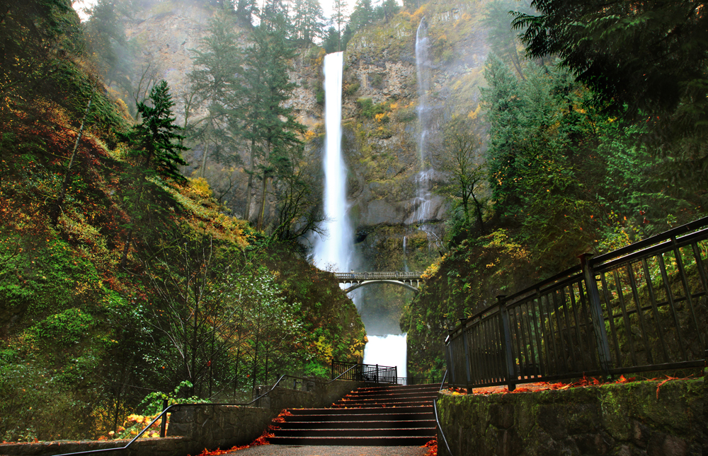 MIGHTY MULTNOMAH