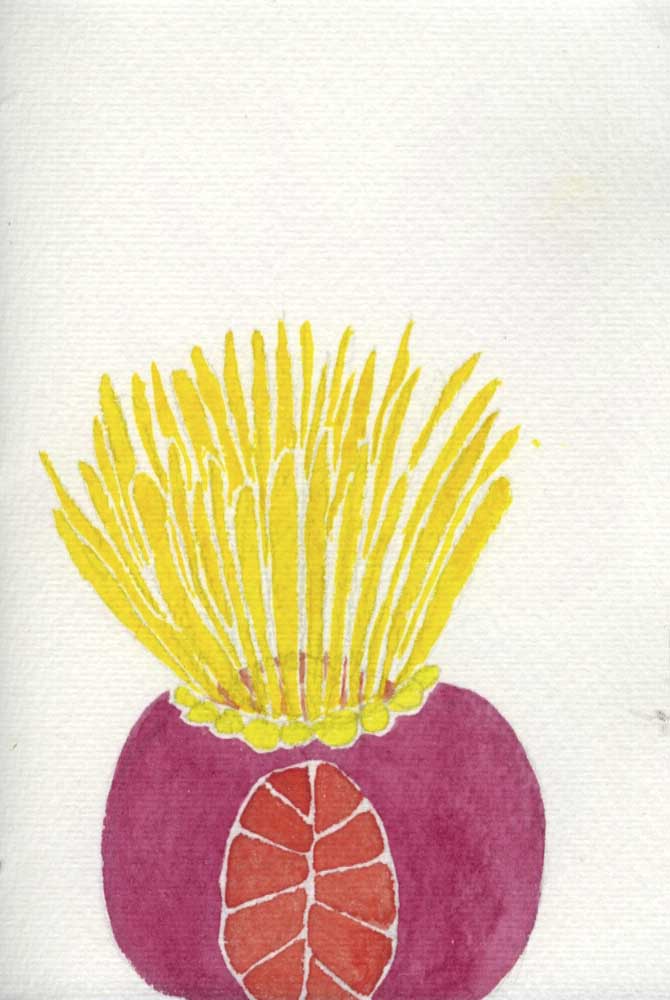 Scan-130219-0006.jpg