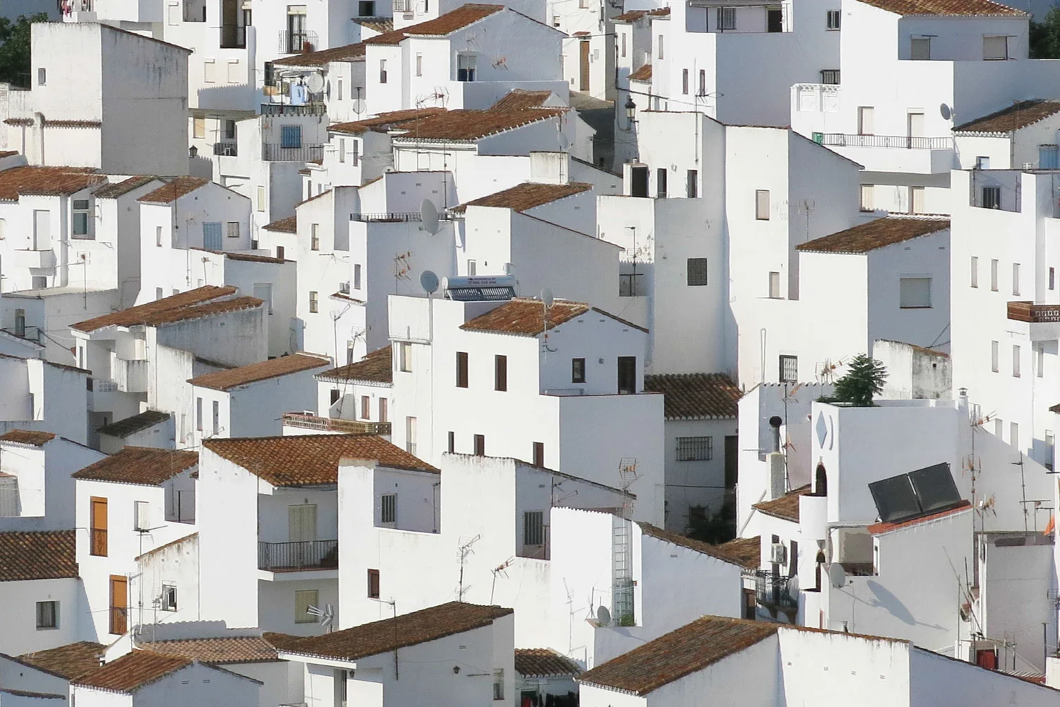 Spain
