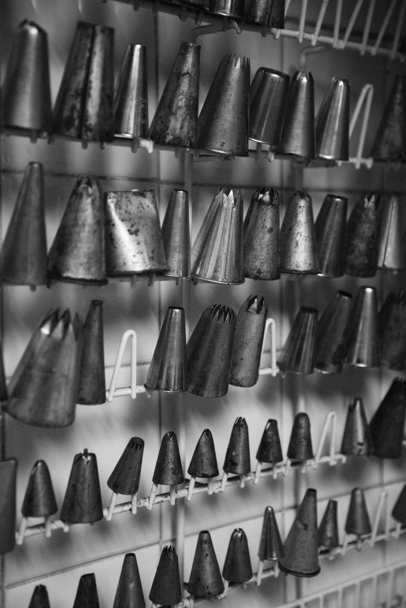 DSC_4010_BW.jpg