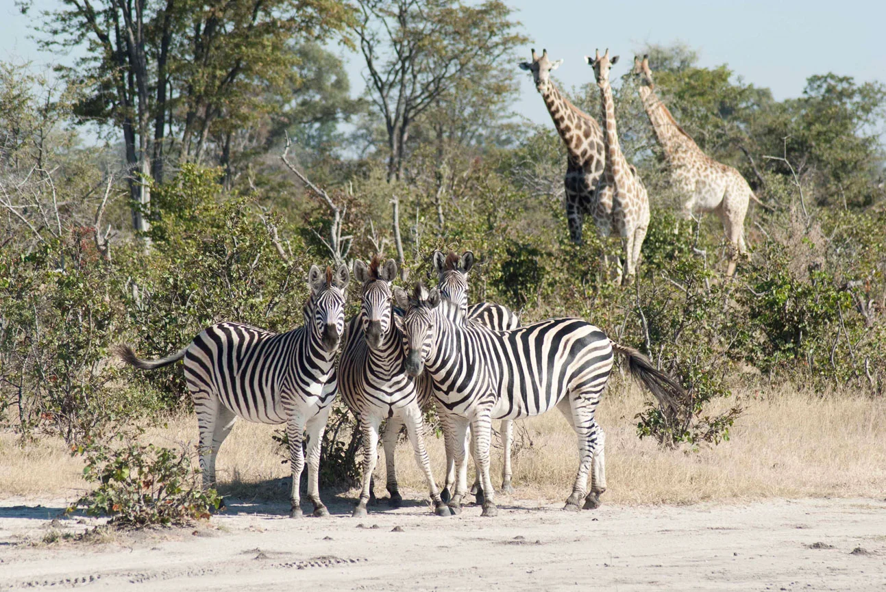 Botswana, Africa