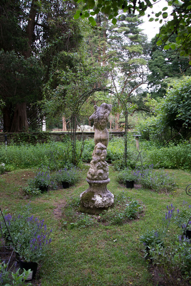 DSC_6784.jpg