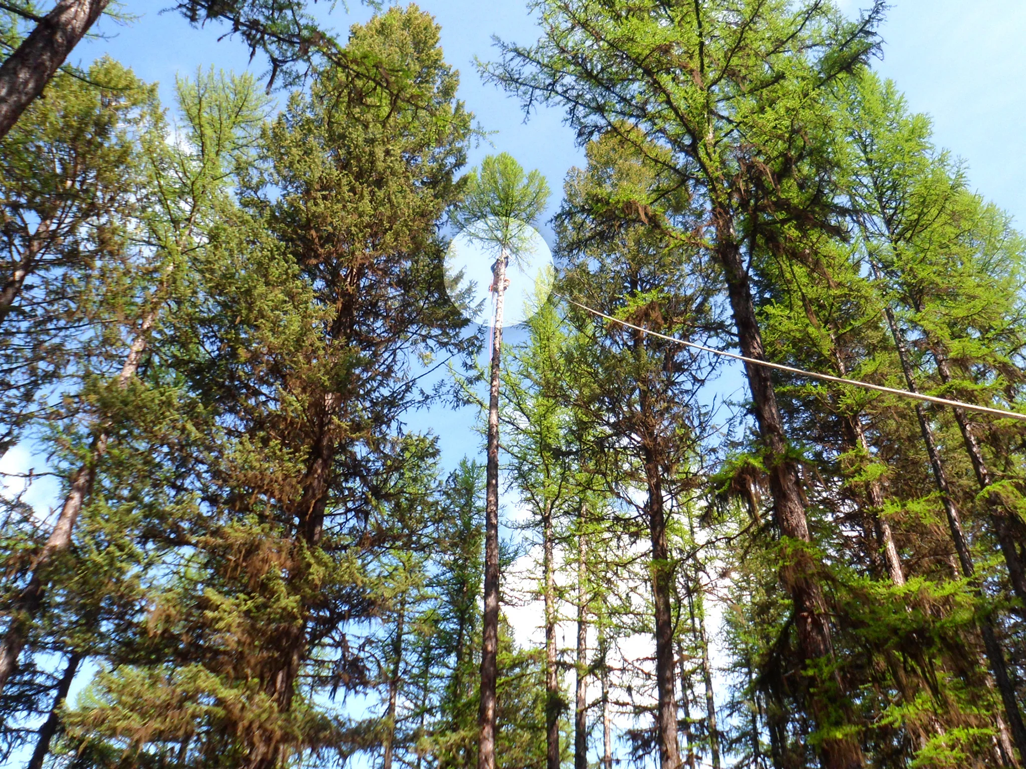 Climbing3.jpg