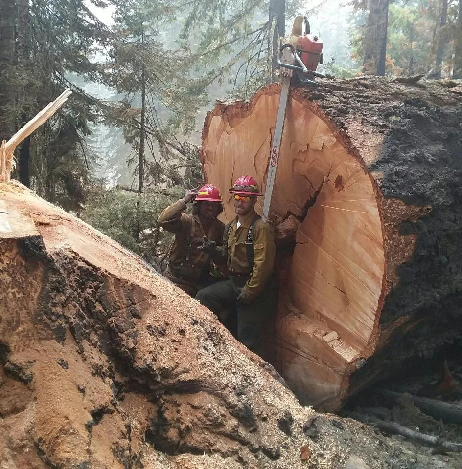 Wildfires — Swedberg Contracting