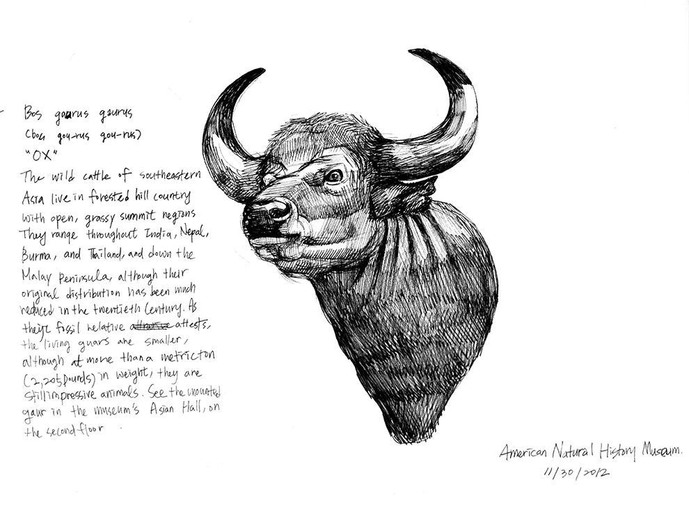 American Museum of Natural History