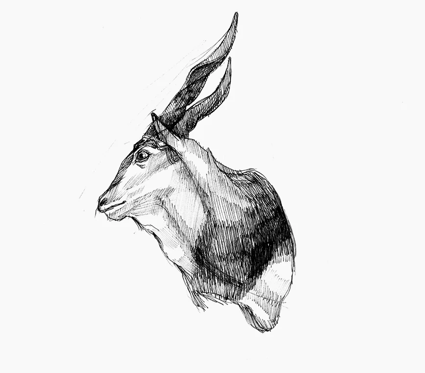 American Museum of Natural History