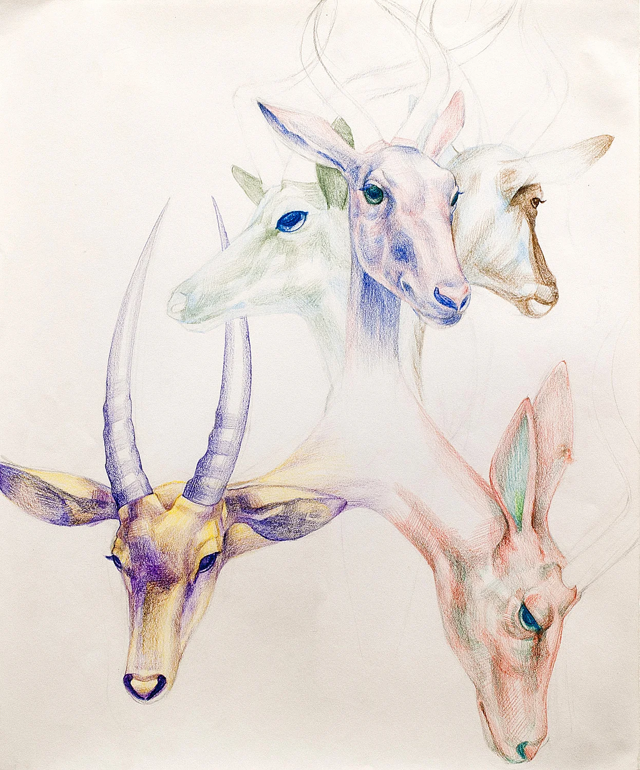 American Museum of Natural History