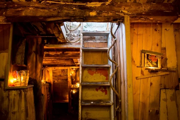 photo by tod seelie ::