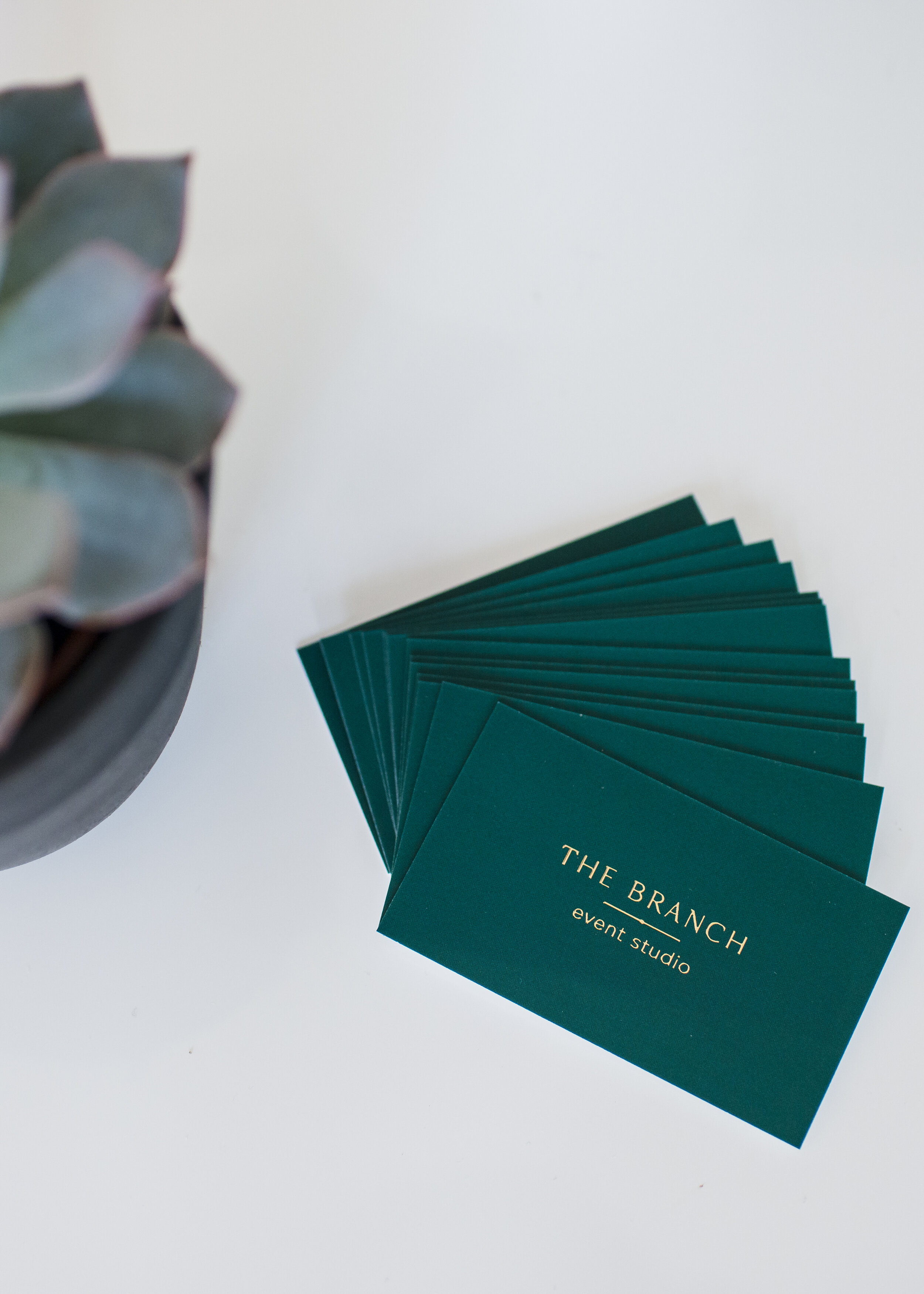 TheBranch_0234.jpg