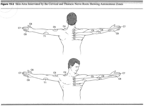 AMA Guides, p. 377 (5th ed. 2001)
