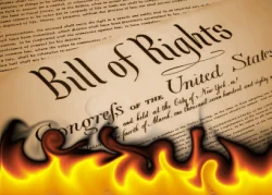 constitution_burning.jpg