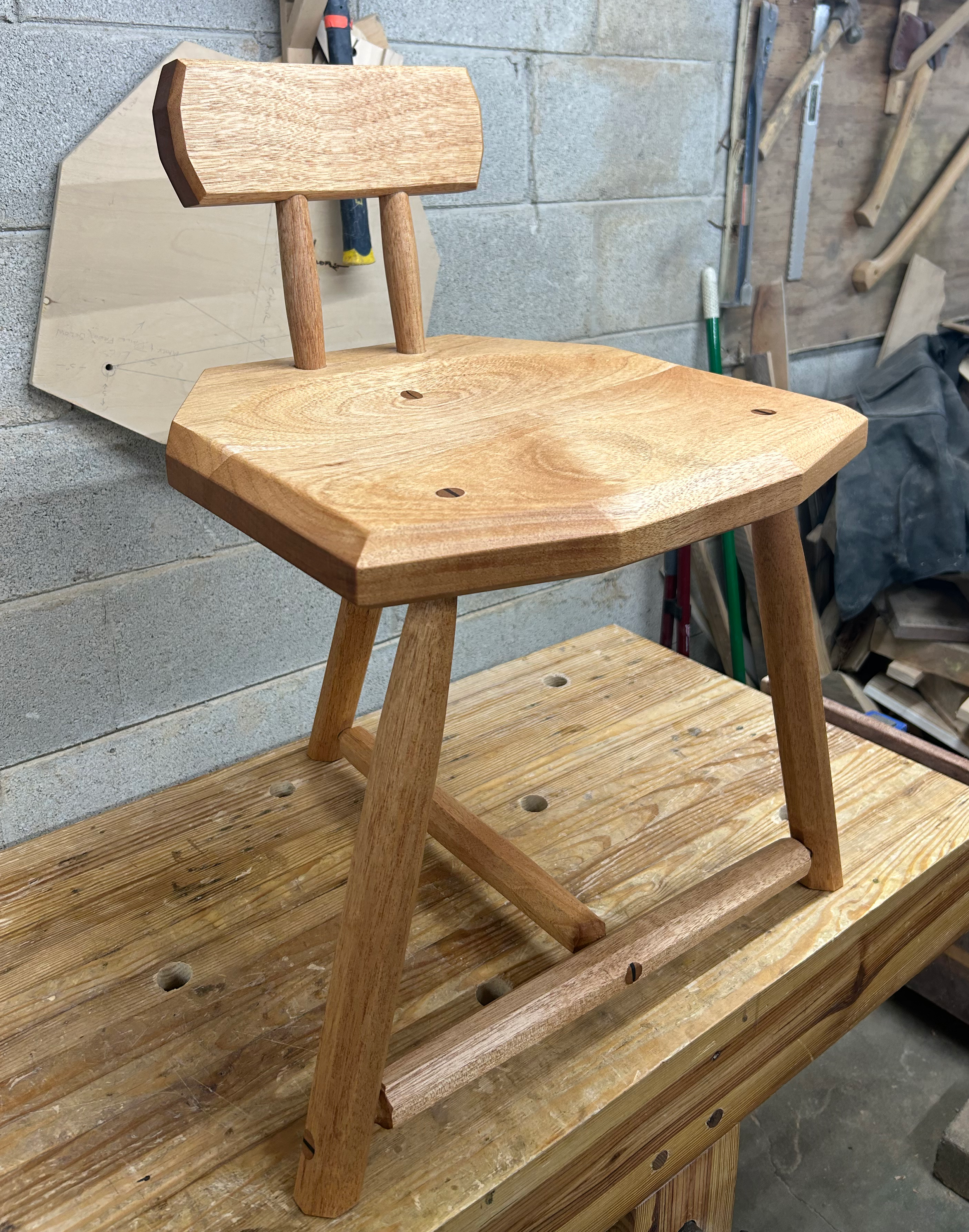 alder chaira1.png
