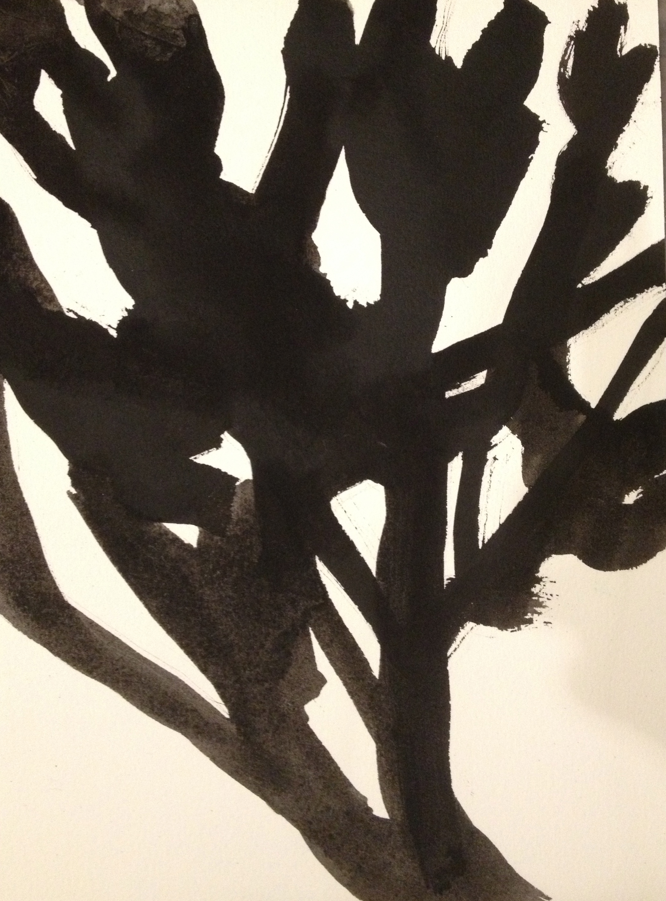 Tree Drawing