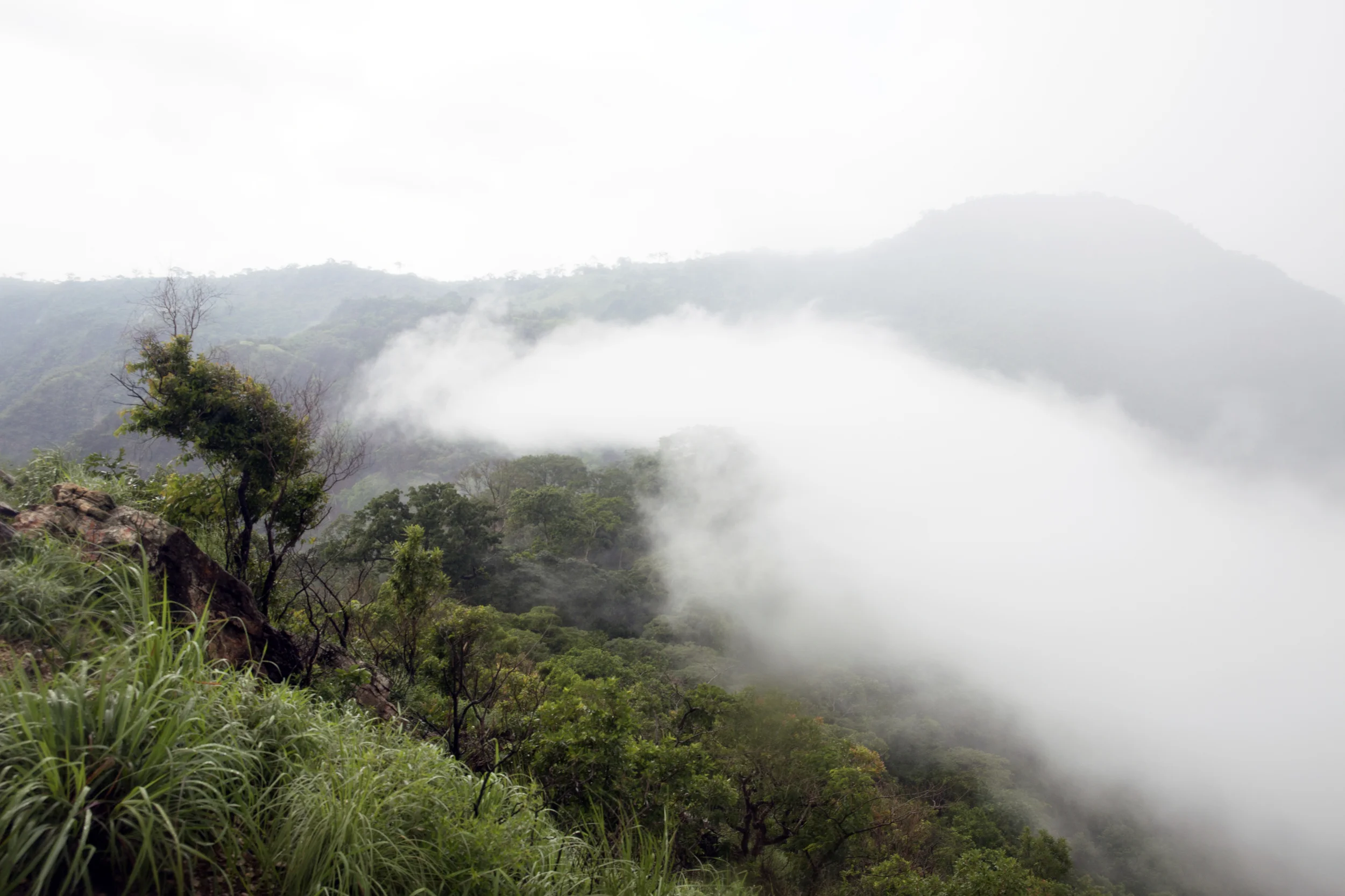 As you can see, the rain caused fog to move in quite fast. Because of this, the view was amazing to the naked eye but a bit hard to capture on camera!