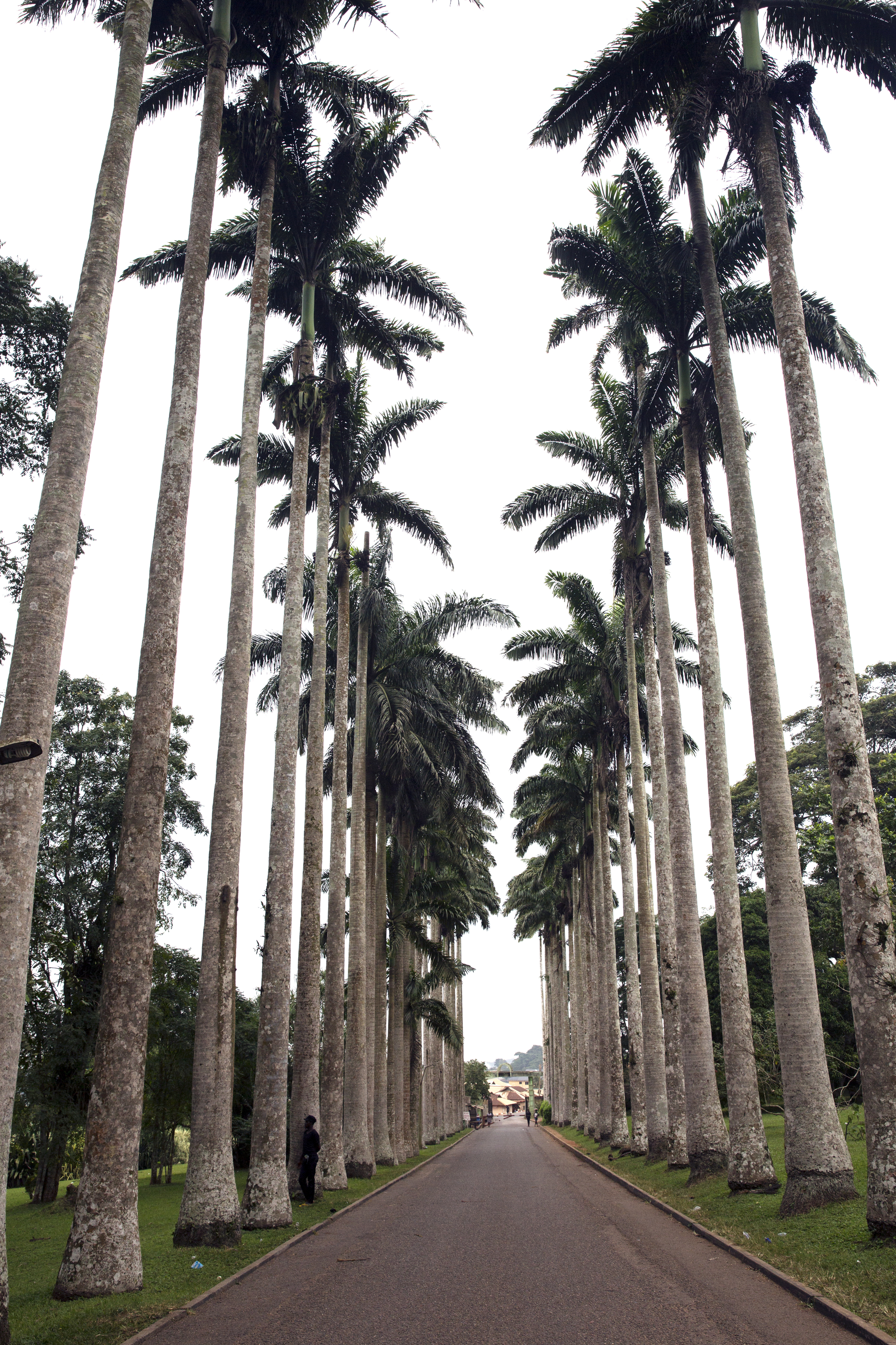 The entrance to the Aburi Gardens.