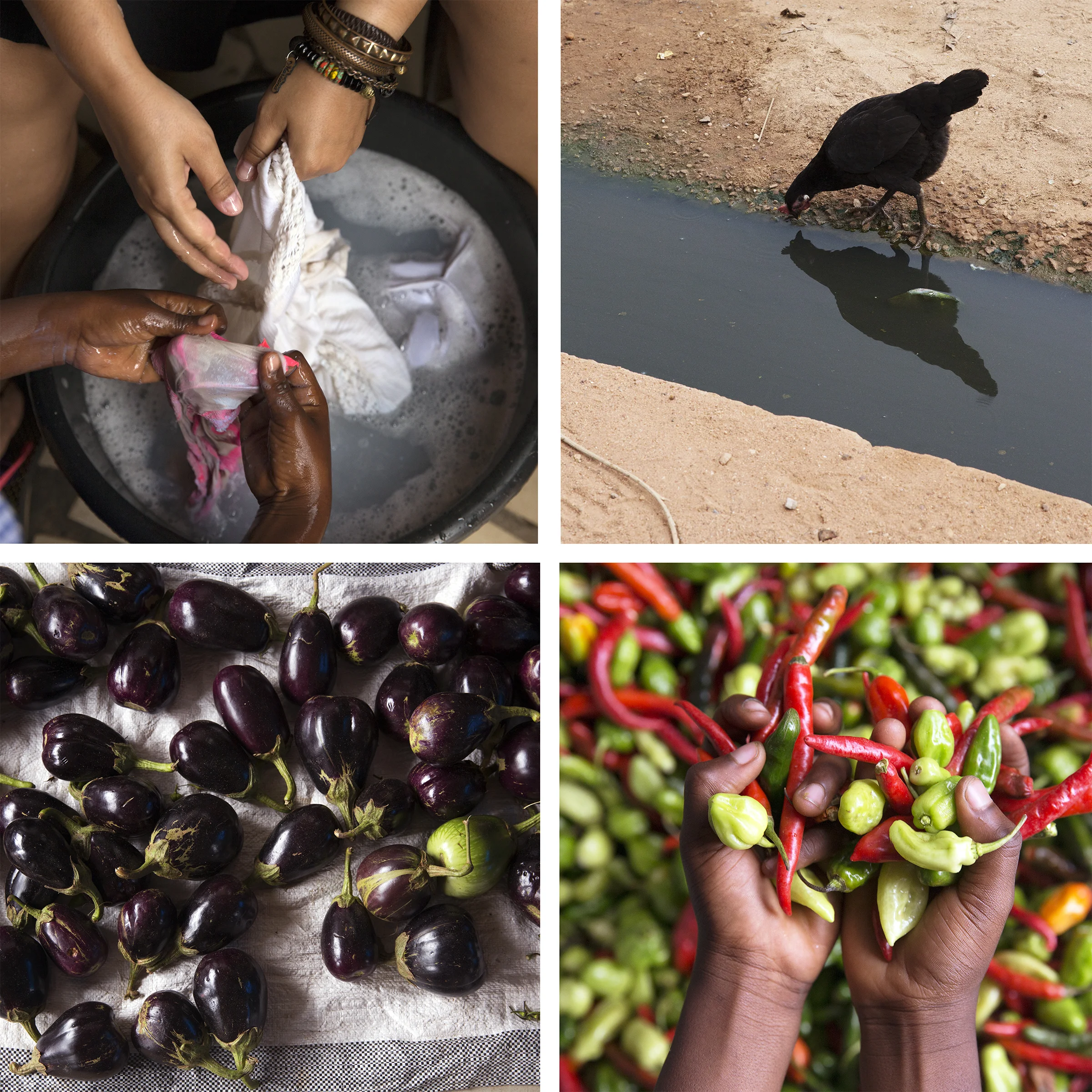 The day's #AccraFromAbove contenders (I ended up selecting the bottom two, though hope to get better pictures of washing and rooster-reflections for future posts).