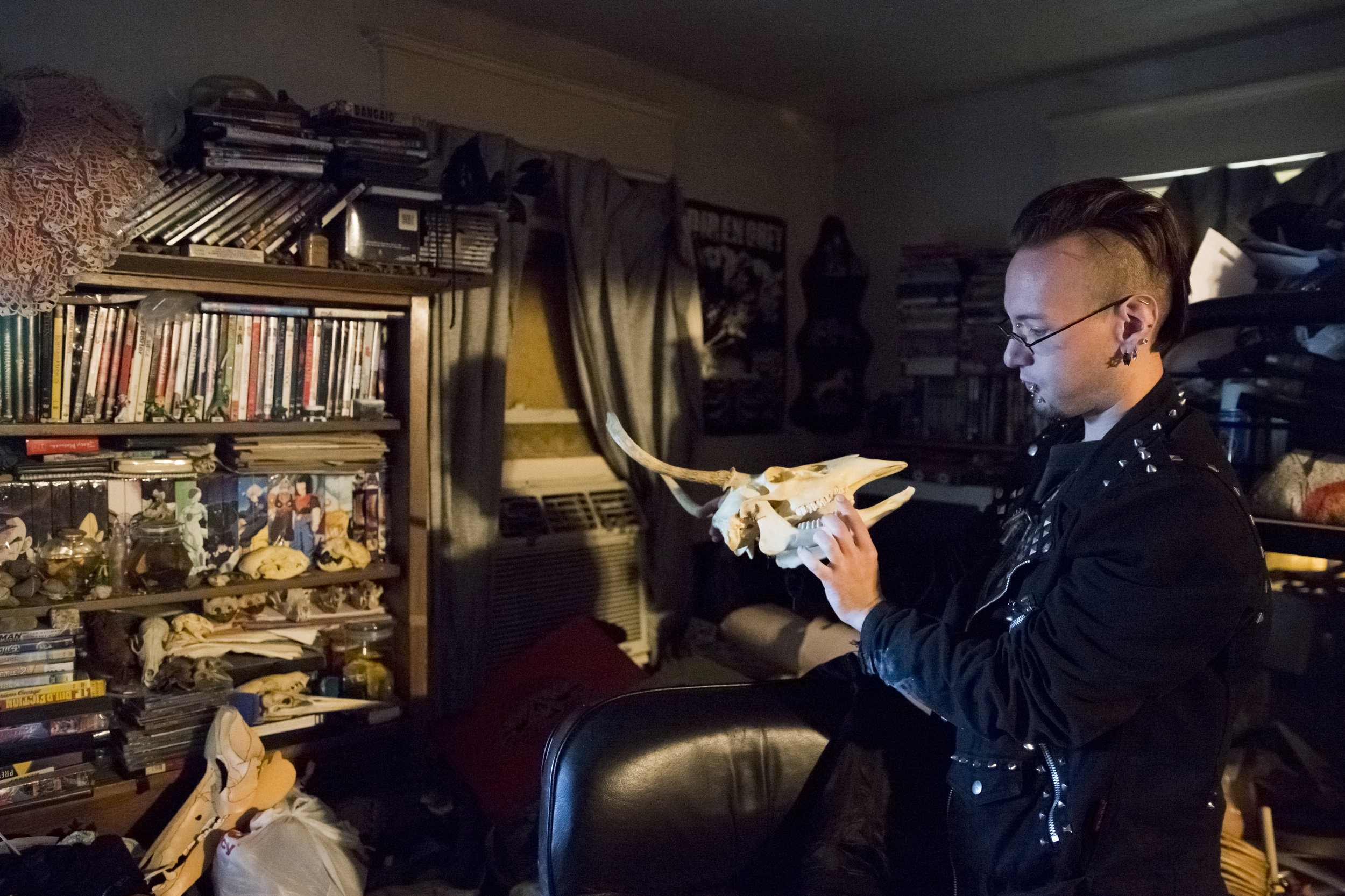 Tommy Bozarth, 28, holds a skull he has preserved as a part of his taxidermy work at his home in Mount Holly, NJ on Halloween night: October 31, 2017.
