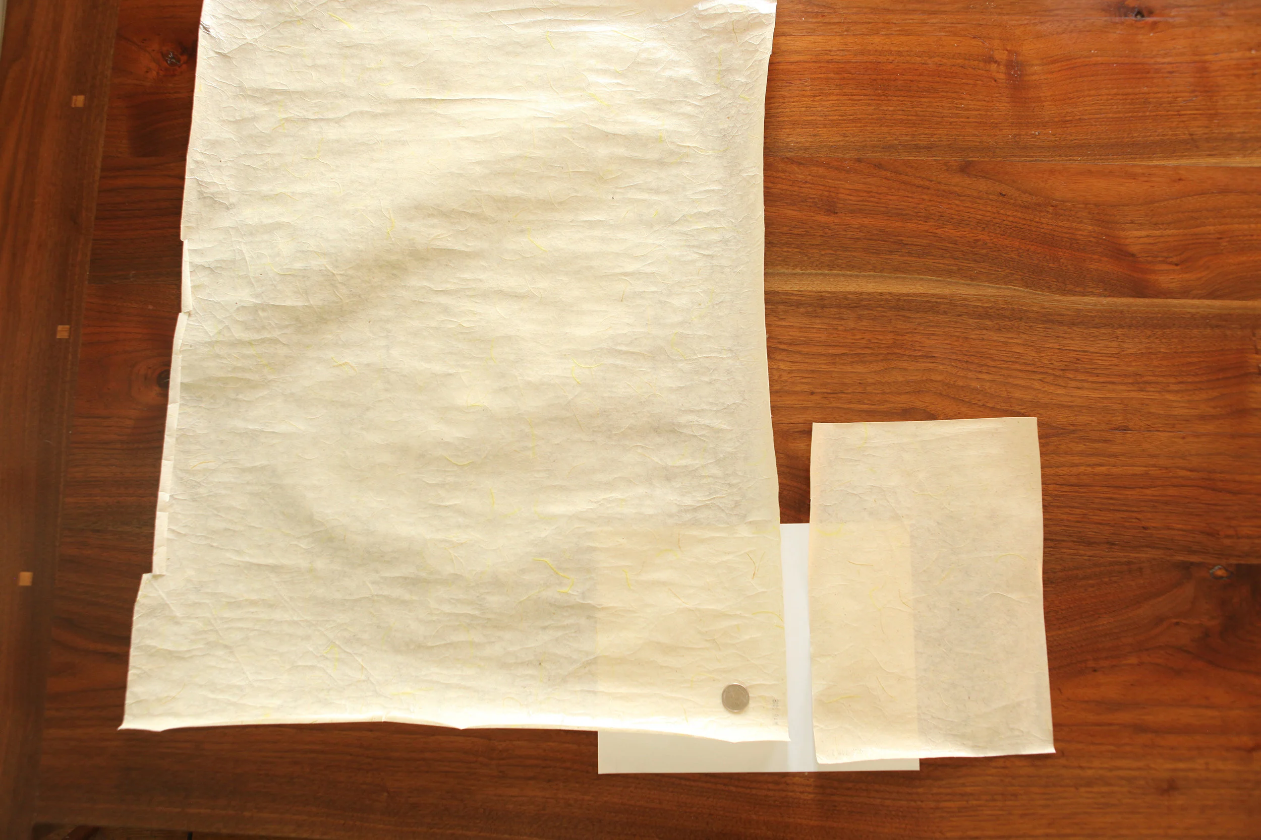 Clear Banana with yellow fibers .JPG