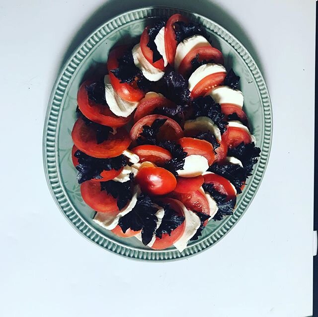 Hard to beat a caprese salad on a hot day.  Fresh picked curly purple basil, fresh mozarella from neighborhood, and tomato&rsquo;s from a street produce vendor.  #comesicantacomesicuoca