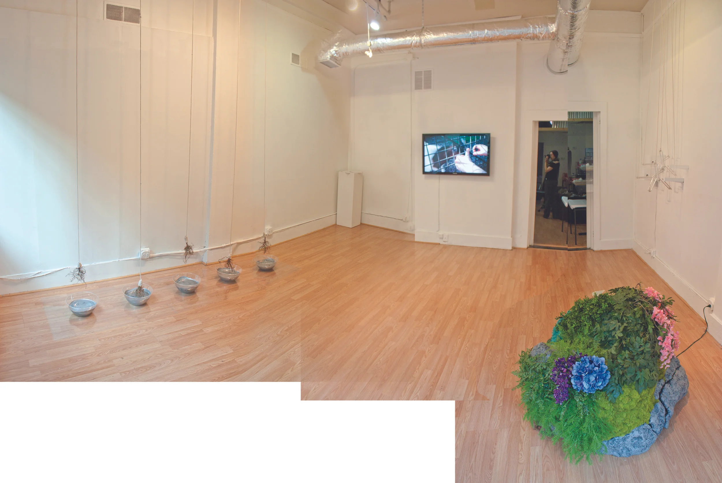 Panorama2web.jpg