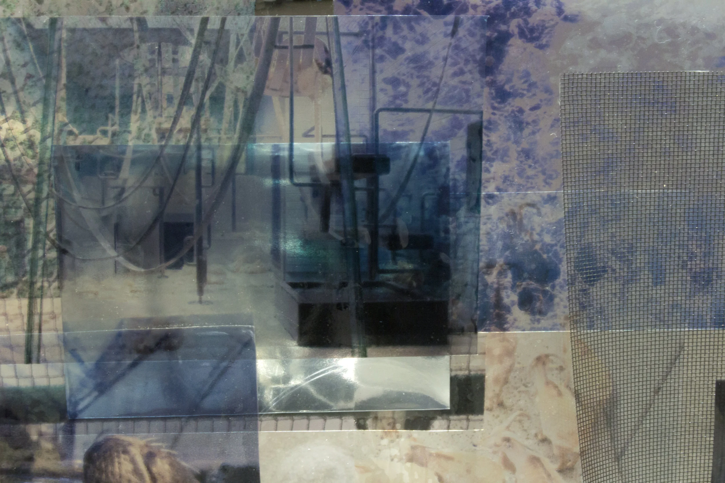 enclosure3.jpg