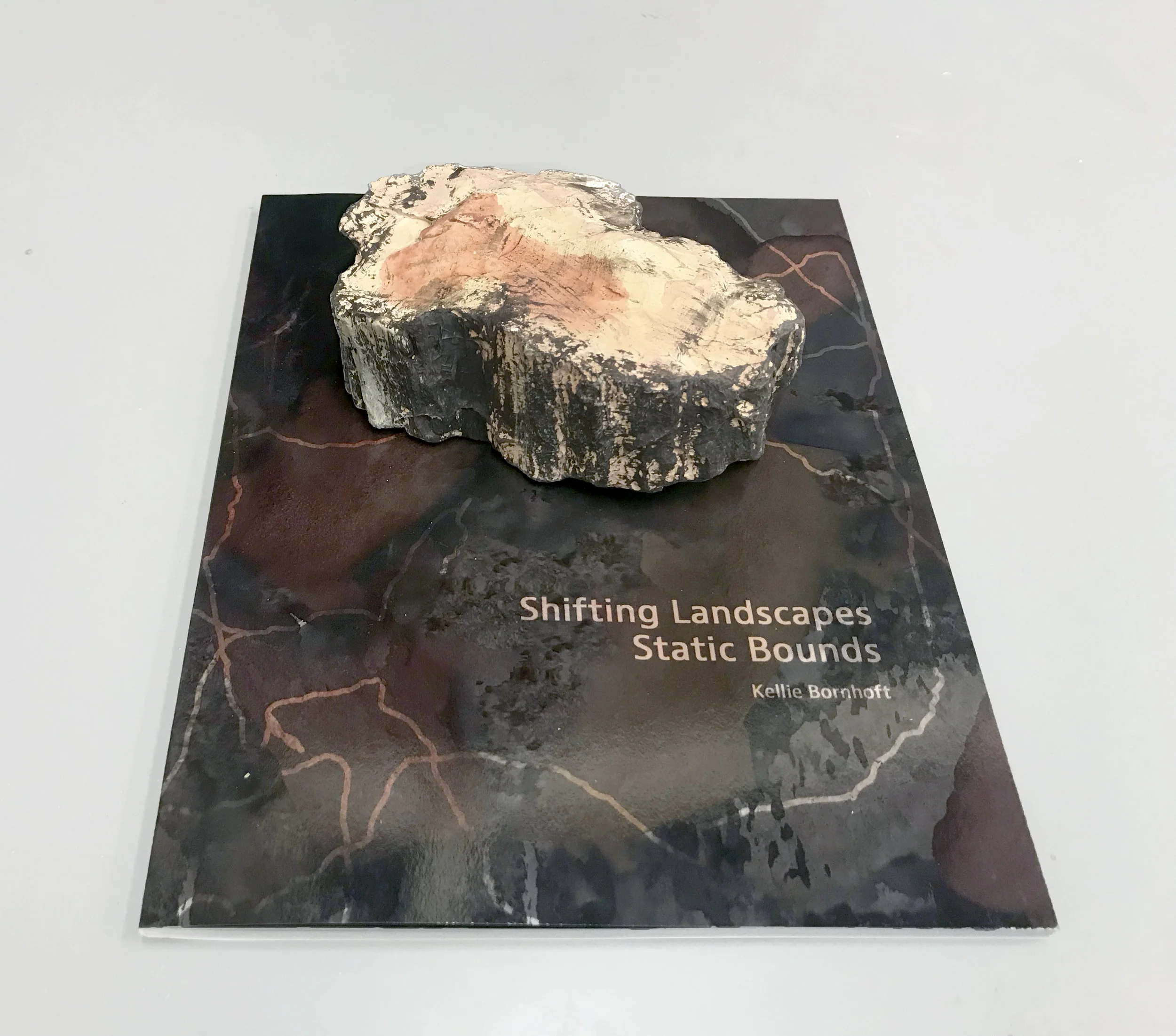 bookphotorock11.jpg