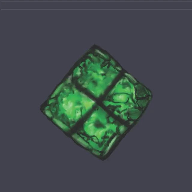 haloquadratumwalsbyi Medium.jpeg