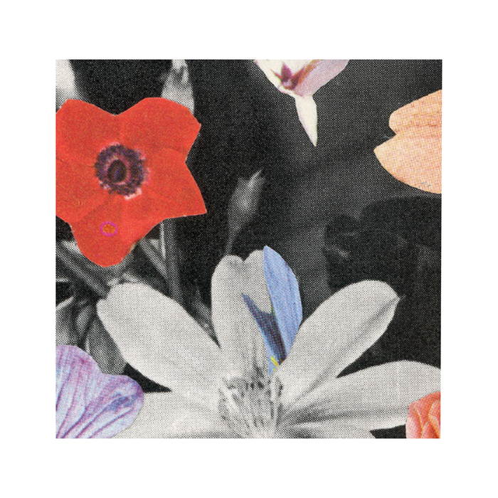 JUSTIN KARAS "Ode" (Self-Released)
