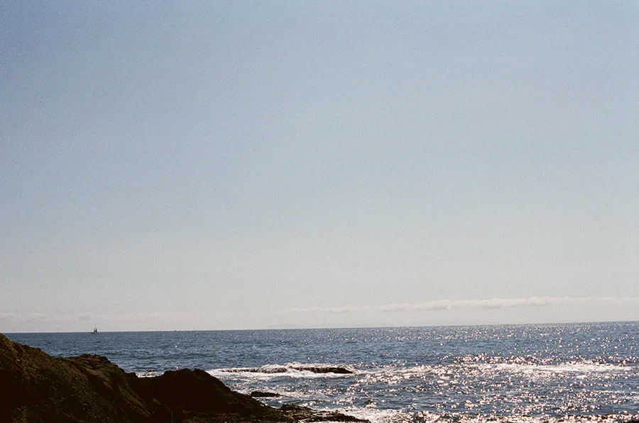 02610015 copy.jpg