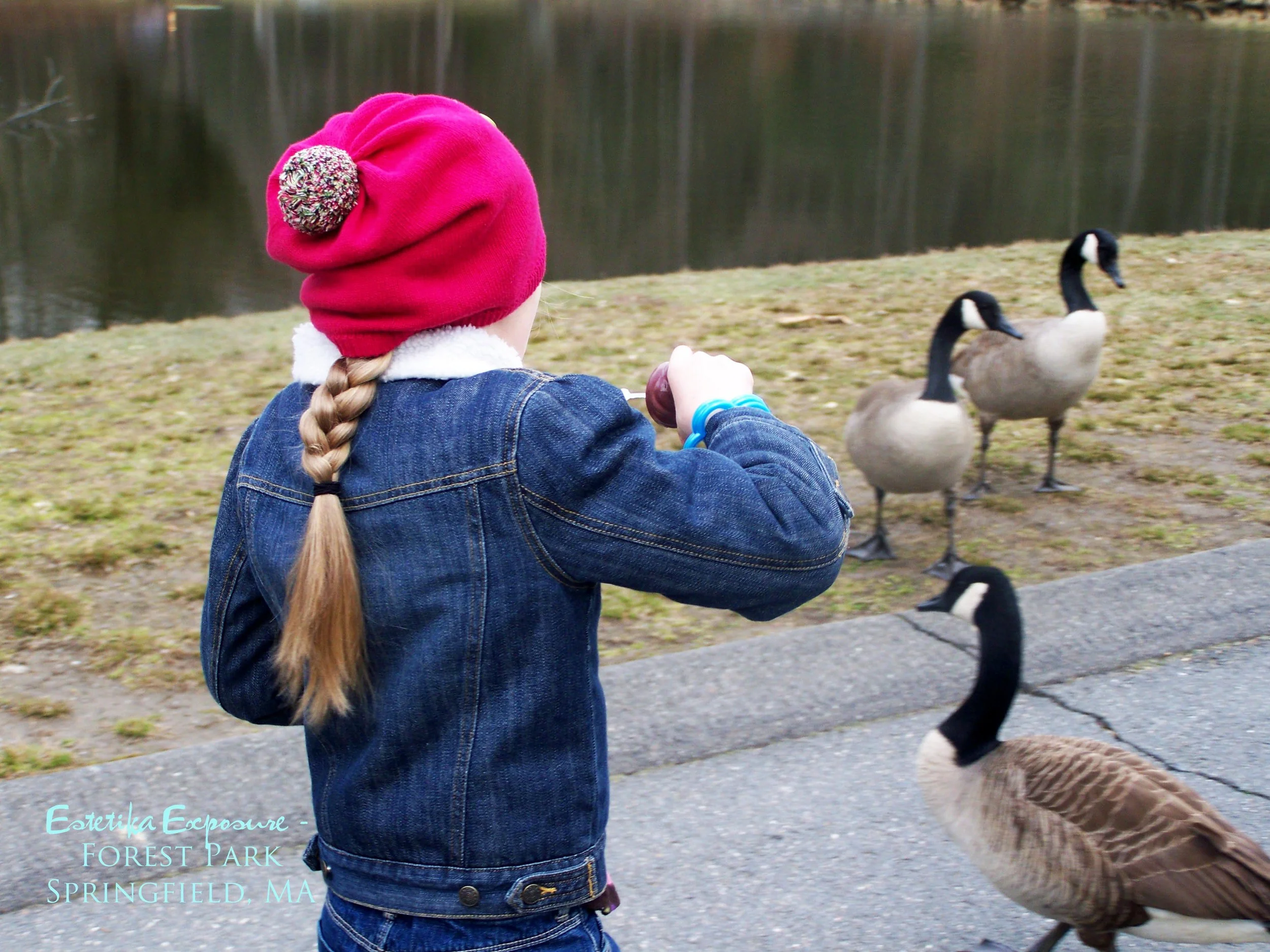 feed ducks bubbles.jpg