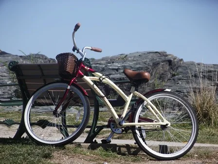 bench and bike on beach west haven connecticut.jpg