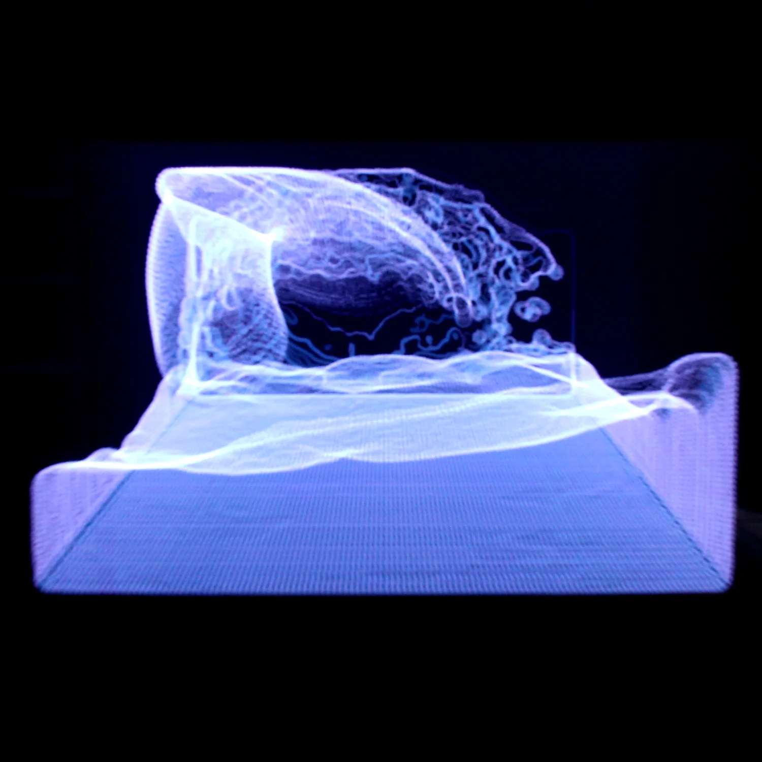 Main image.jpg