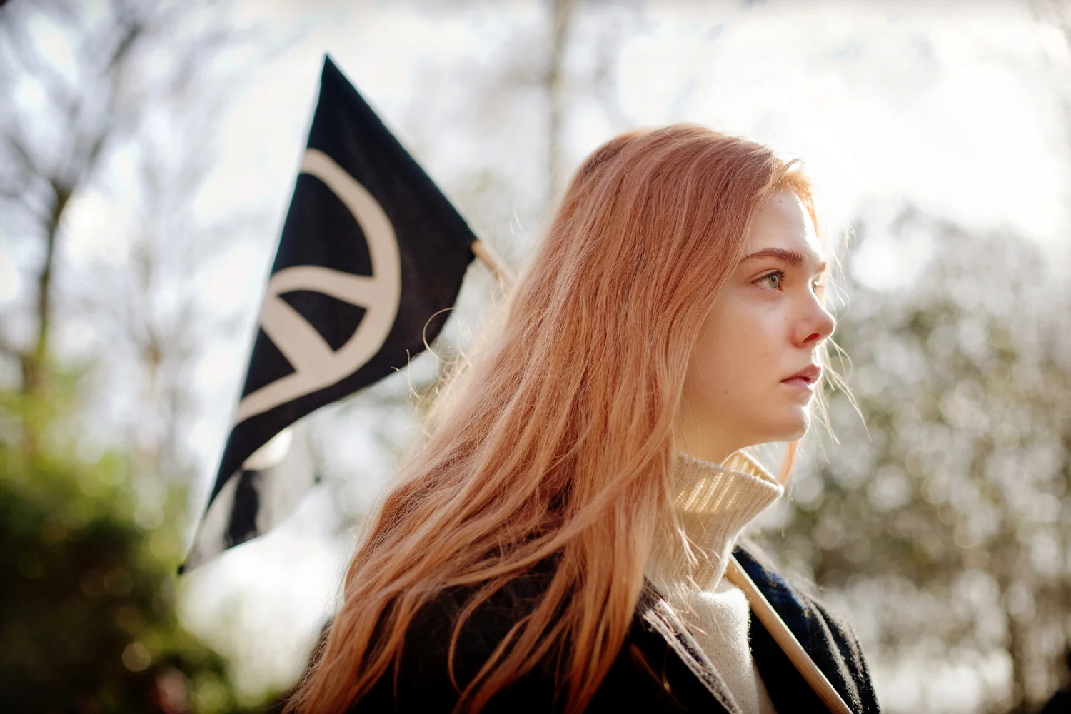 Ginger Rosagingerandrosa3.jpg