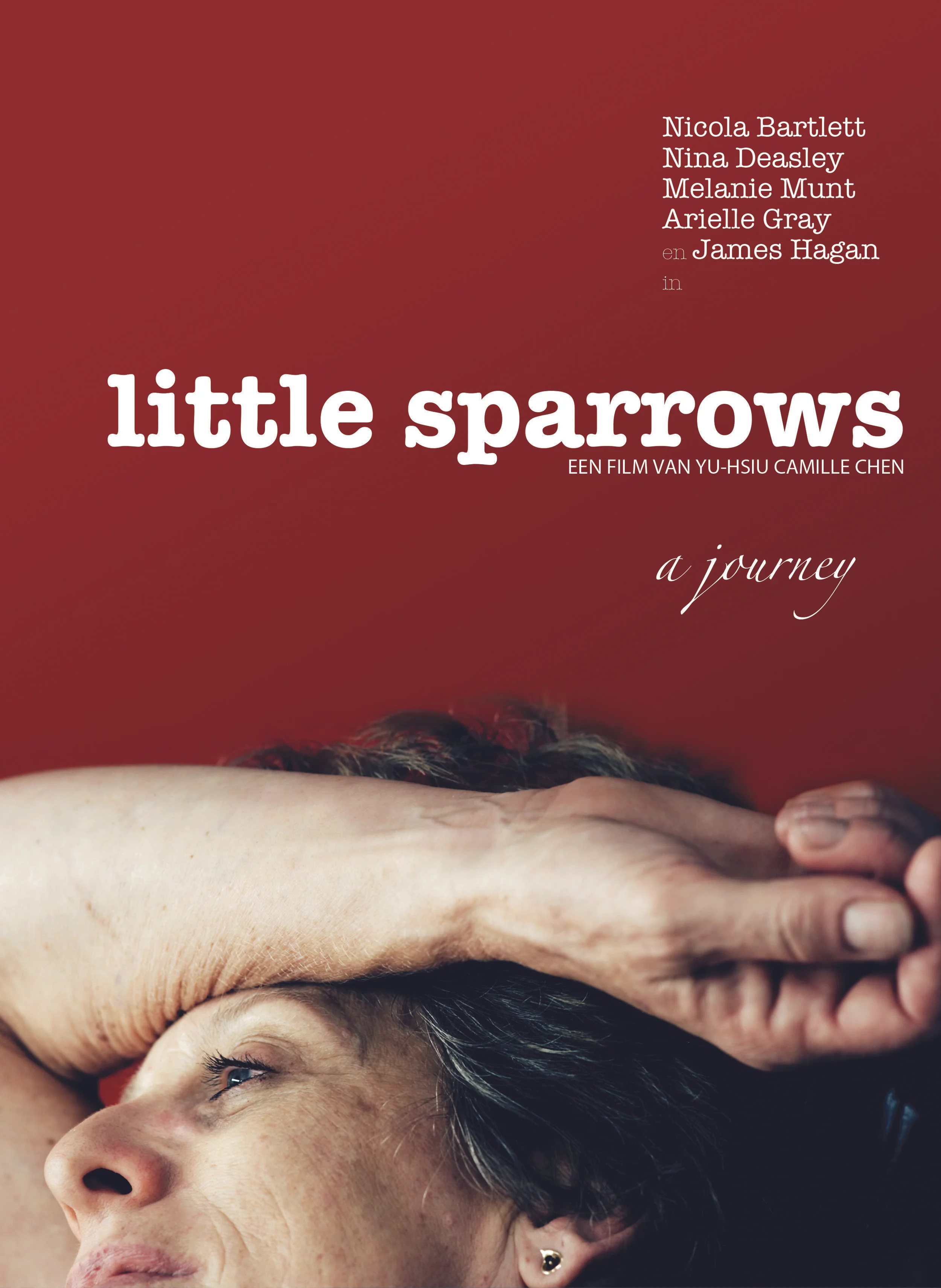 Little-Sparrows-Inlay-DVD-1.jpg