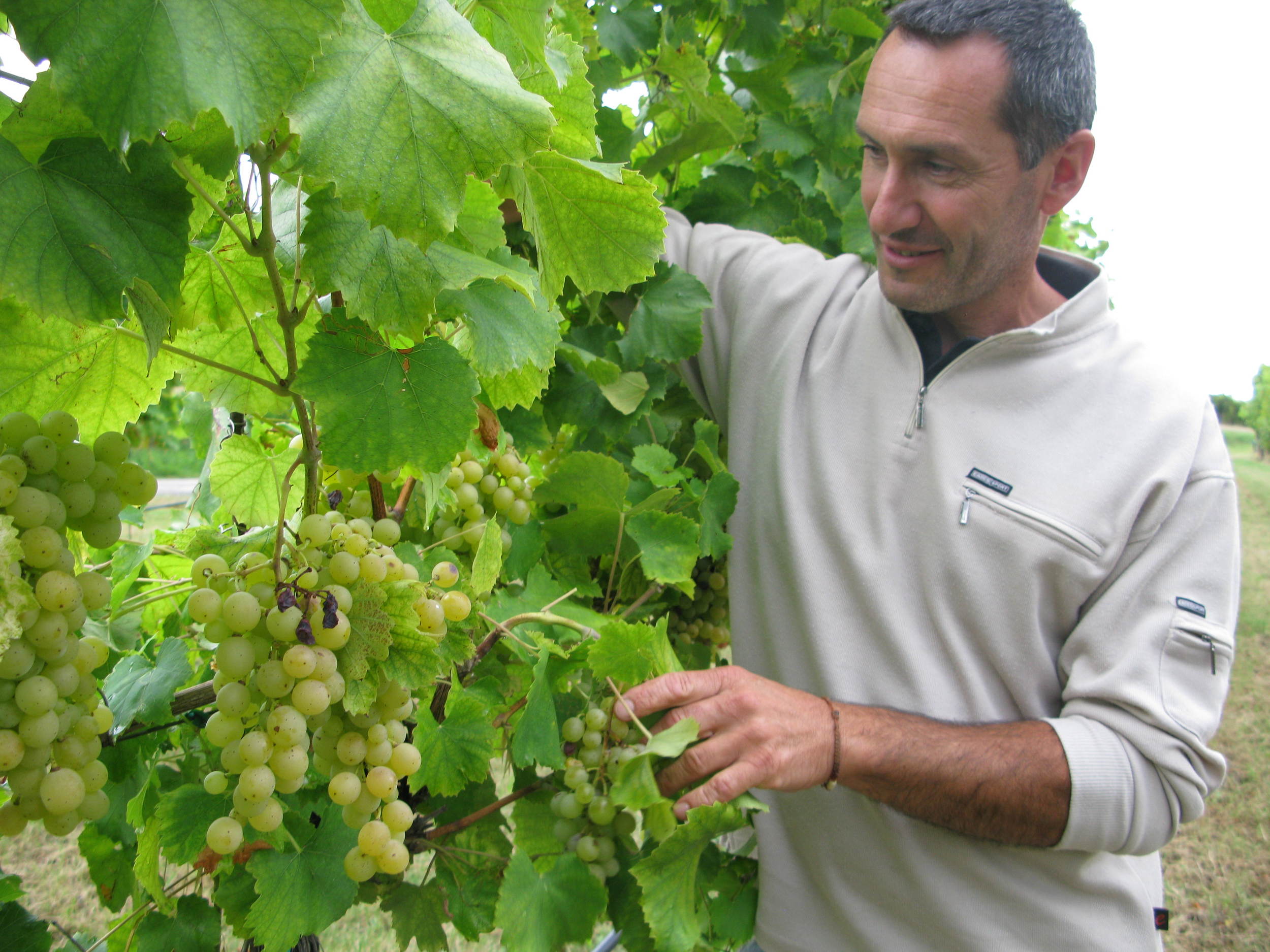 Winemaker Mauro Altini