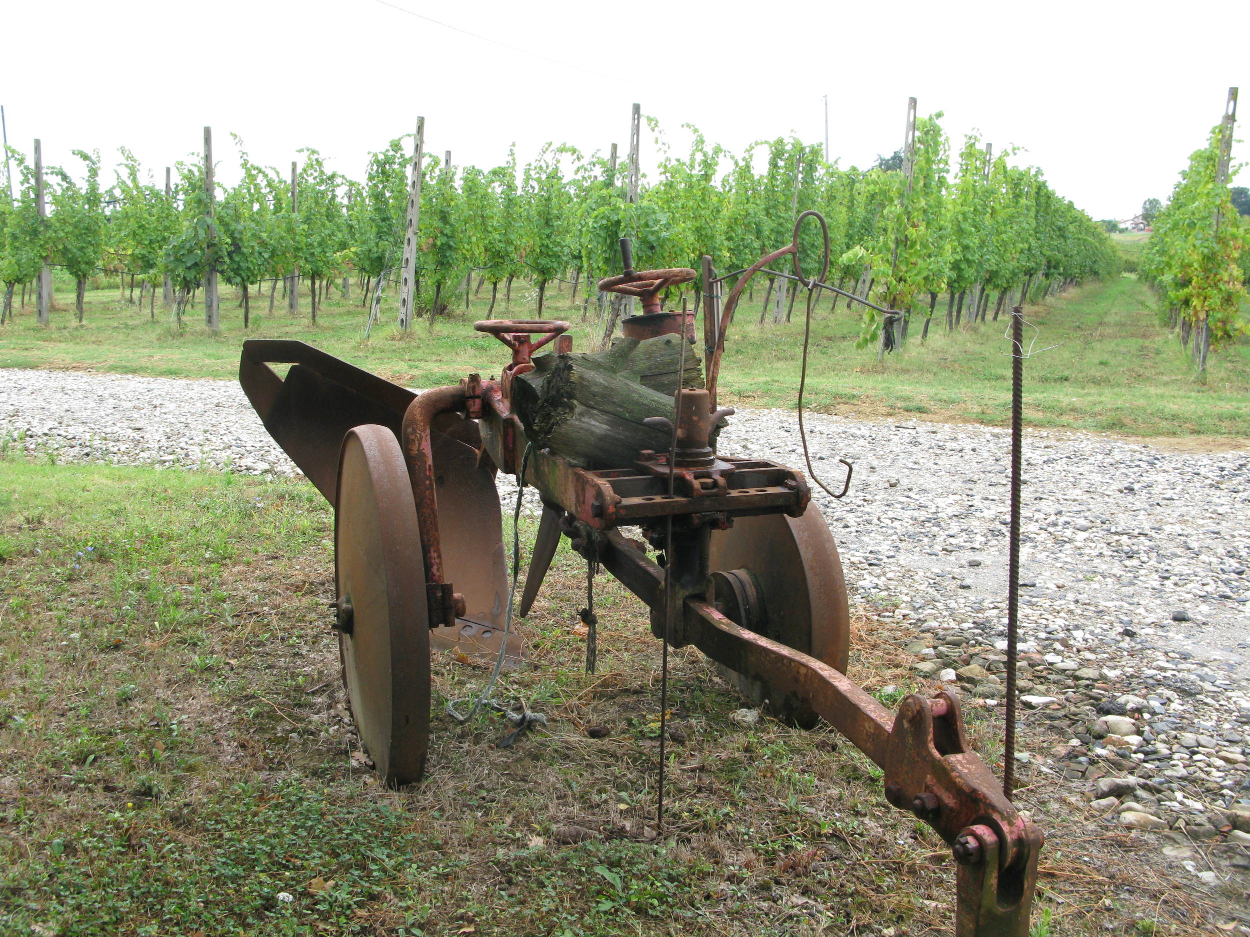 Claudio is the third generation to work this land