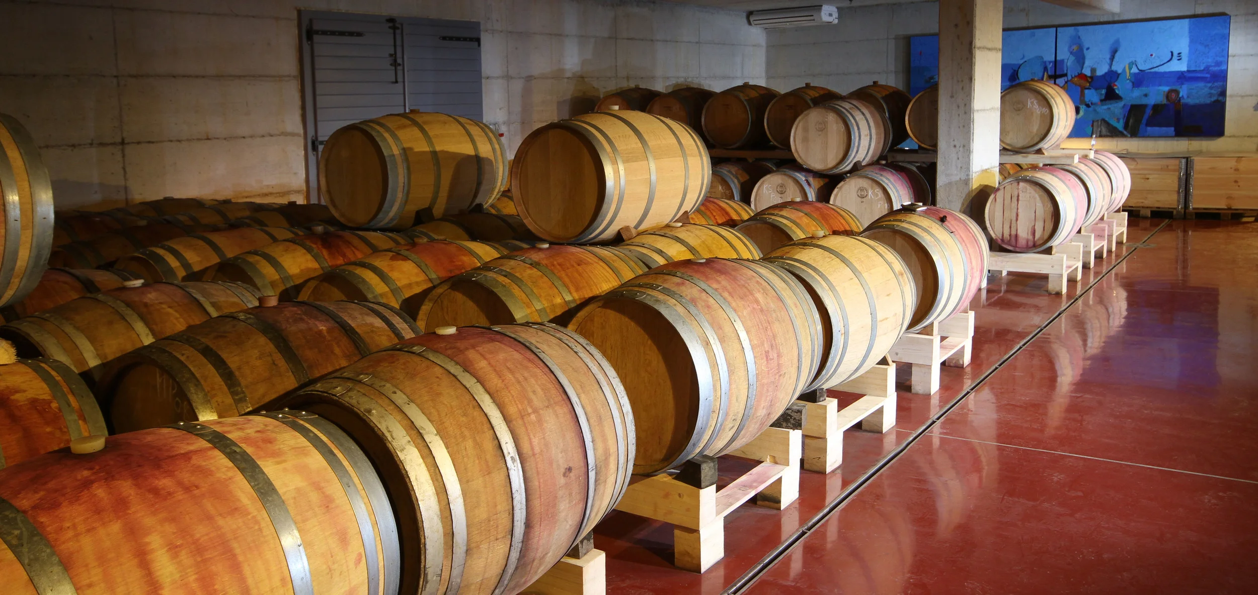 The new part of Tilia's cellar