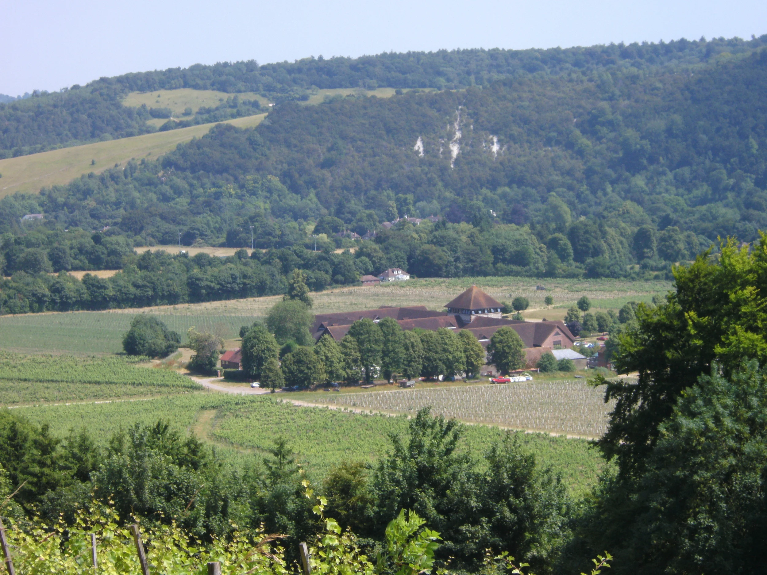 Surrey estate Denbies celebrates 30 years since planting its first vines this year by making its London Wine Fair debut. It has also updated the film shown at its visitor centre.