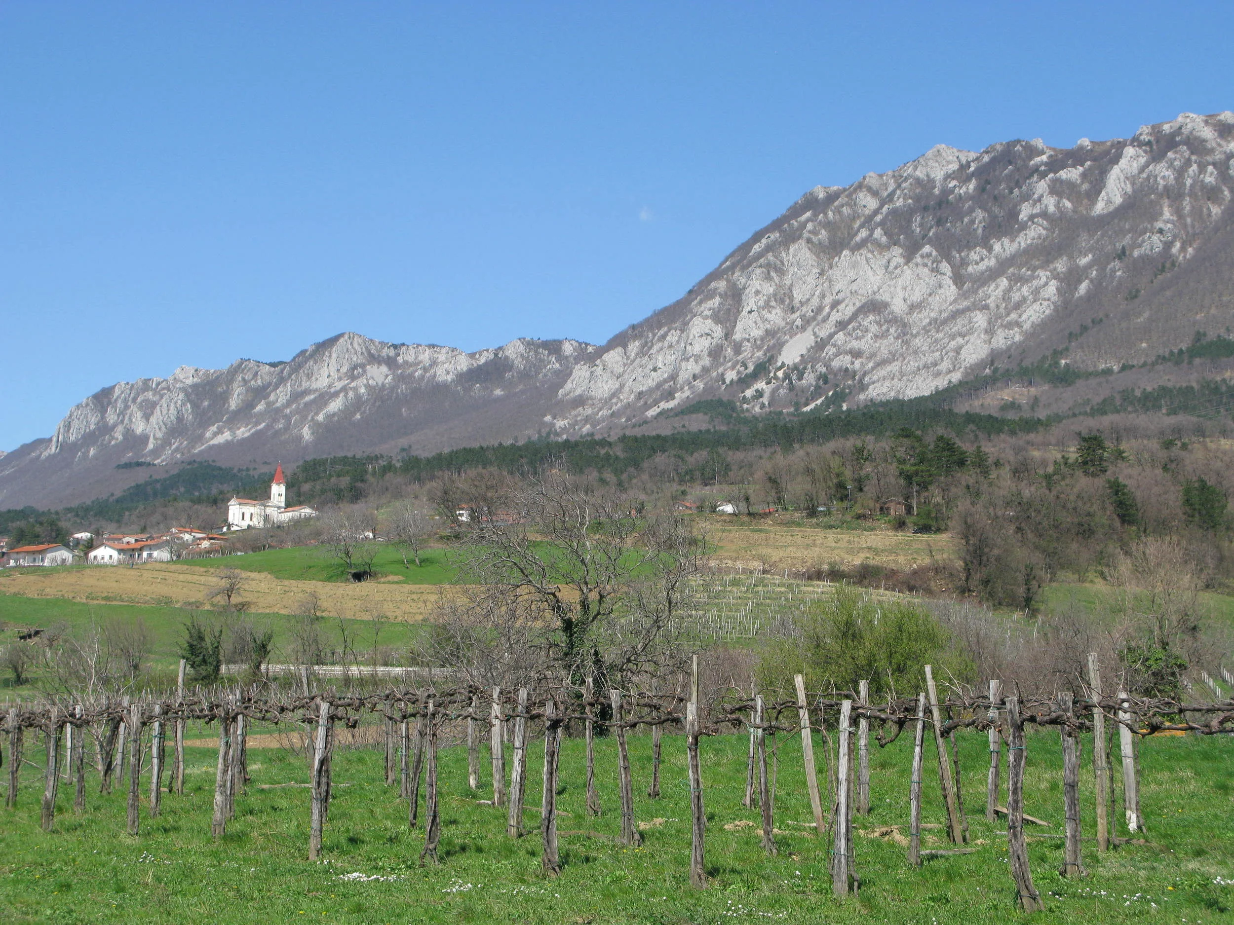 The Vipava Valley: One of the many highlights of this tour