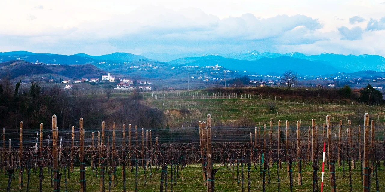 Goriska Brda is probably Slovenia's most famous sub-region, as the hills roll into Italy's Collio