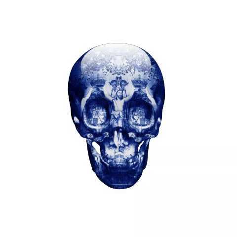 download (1).png