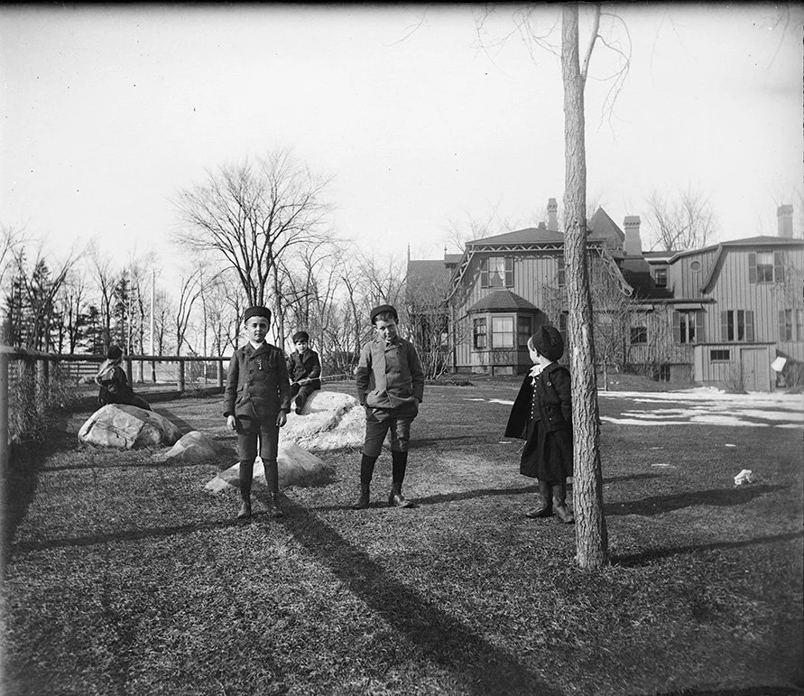 LANDVEST_1217259746.jpg