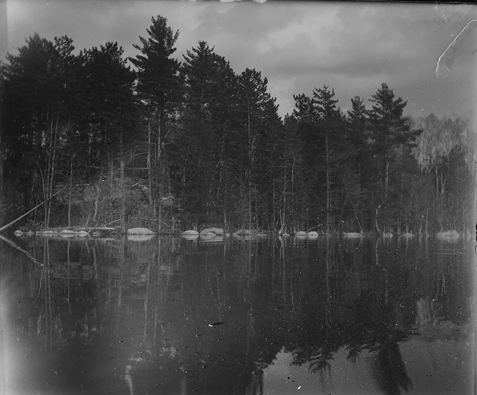 LANDVEST_1217259720.jpg