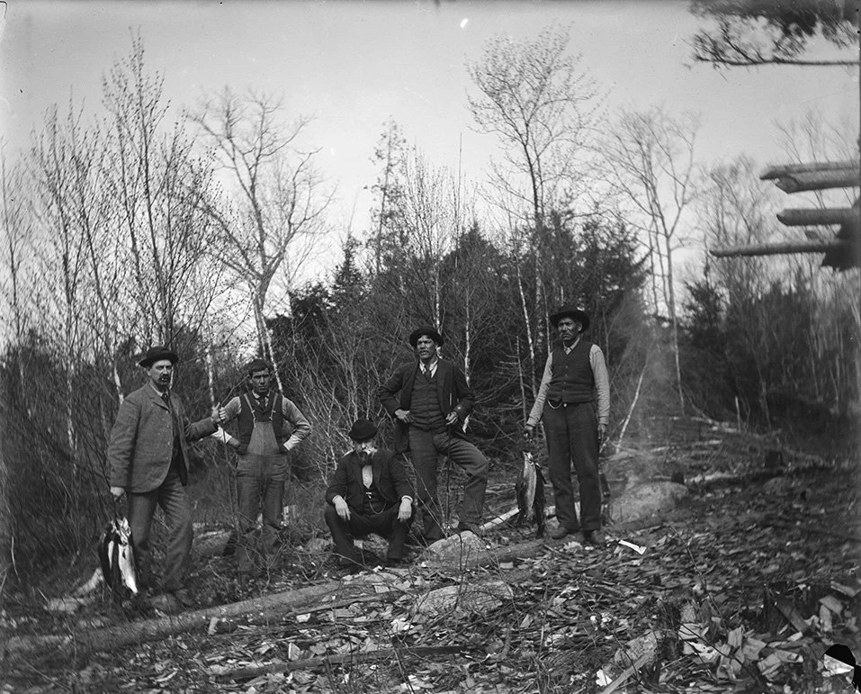 LANDVEST_1217259724.jpg