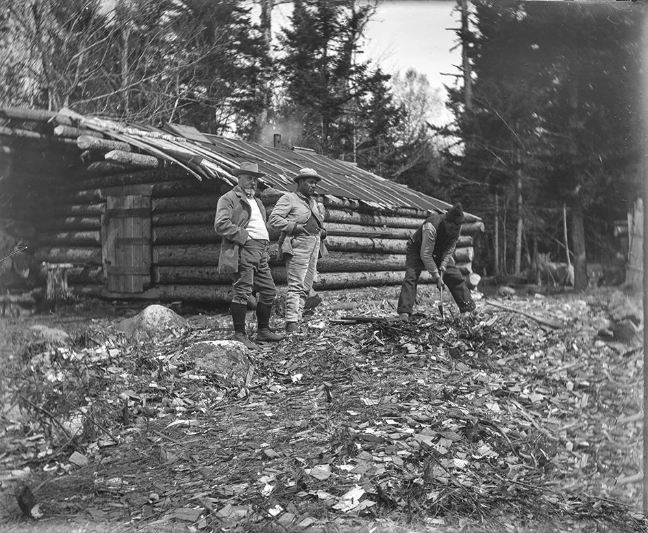 LANDVEST_1217259751.jpg