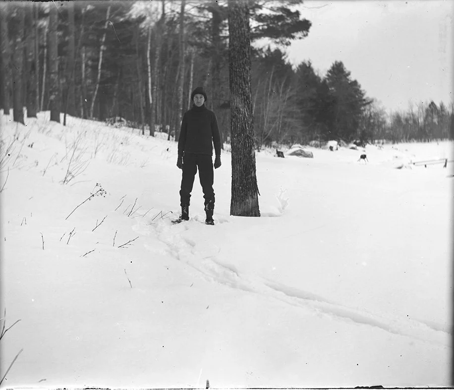 LANDVEST_1217259755.jpg