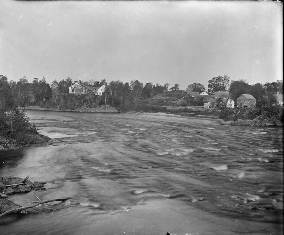 LANDVEST_1217259765.jpg