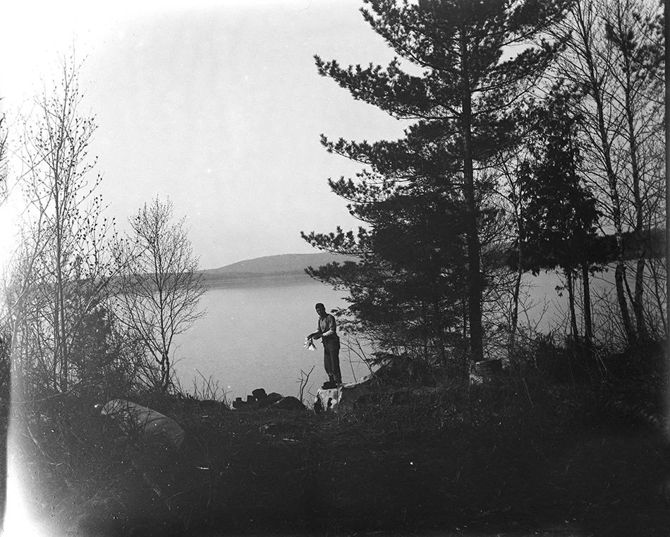 LANDVEST_1217259774.jpg